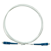 SC/PC-SC/PC FTTH patch cord 