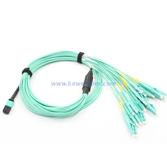 8/12/24cores MPO-LC/SC/FC/ST Standard harness Cables assemblies