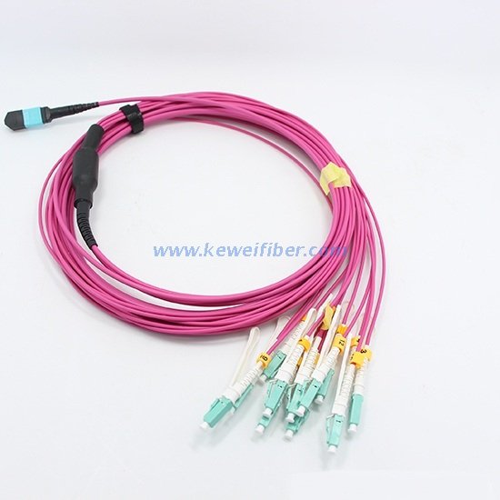 8/12/24cores MPO-LC/SC/FC/ST Staggered harness Cables assemblies