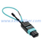 8/12/24-Fibers MPO Fiber Loopback Module
