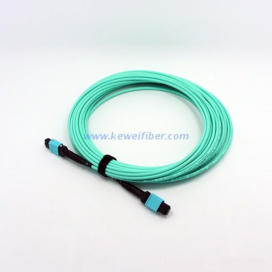 Armored MTP trunk cable