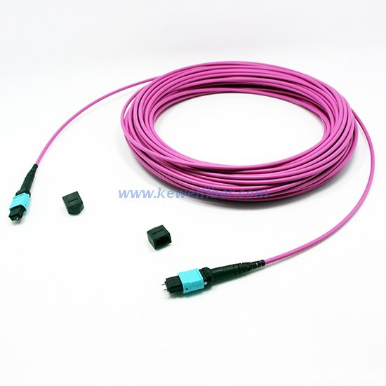 MTP-MTP trunk cable 12F/24F