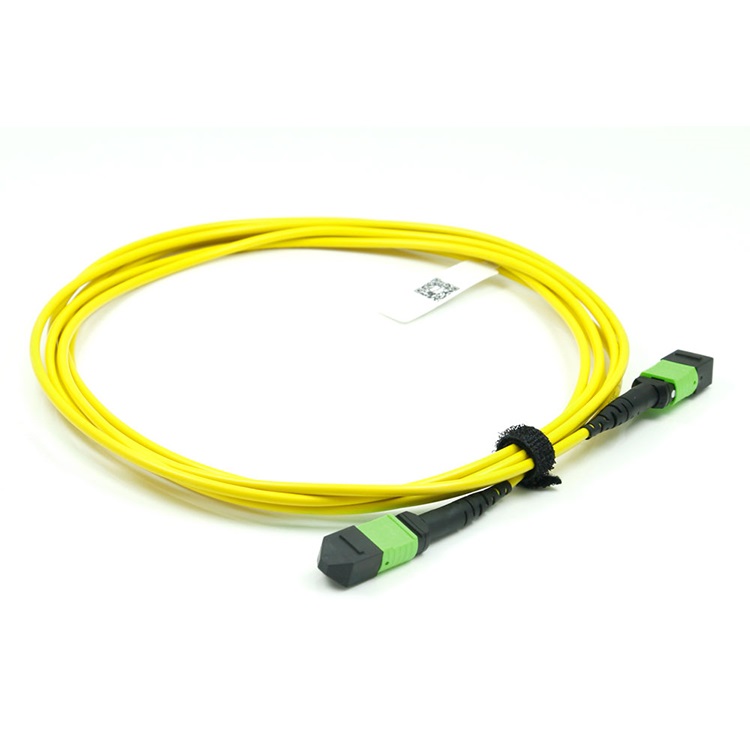 MTP/APC-MTP/APC Female to Female Fiber Optic Patch cord SM 100/400G 12/24cores LSZH yellow 
