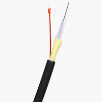 FTTH Non Metal Cable Glass Yarn/Aramid Yarn Single Mode Fiber Optical Cable with Rip Cord